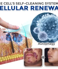 flysmus® Spermidine Autophagy Comprehensive Cream