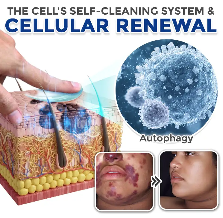 flysmus® Spermidine Autophagy Comprehensive Cream