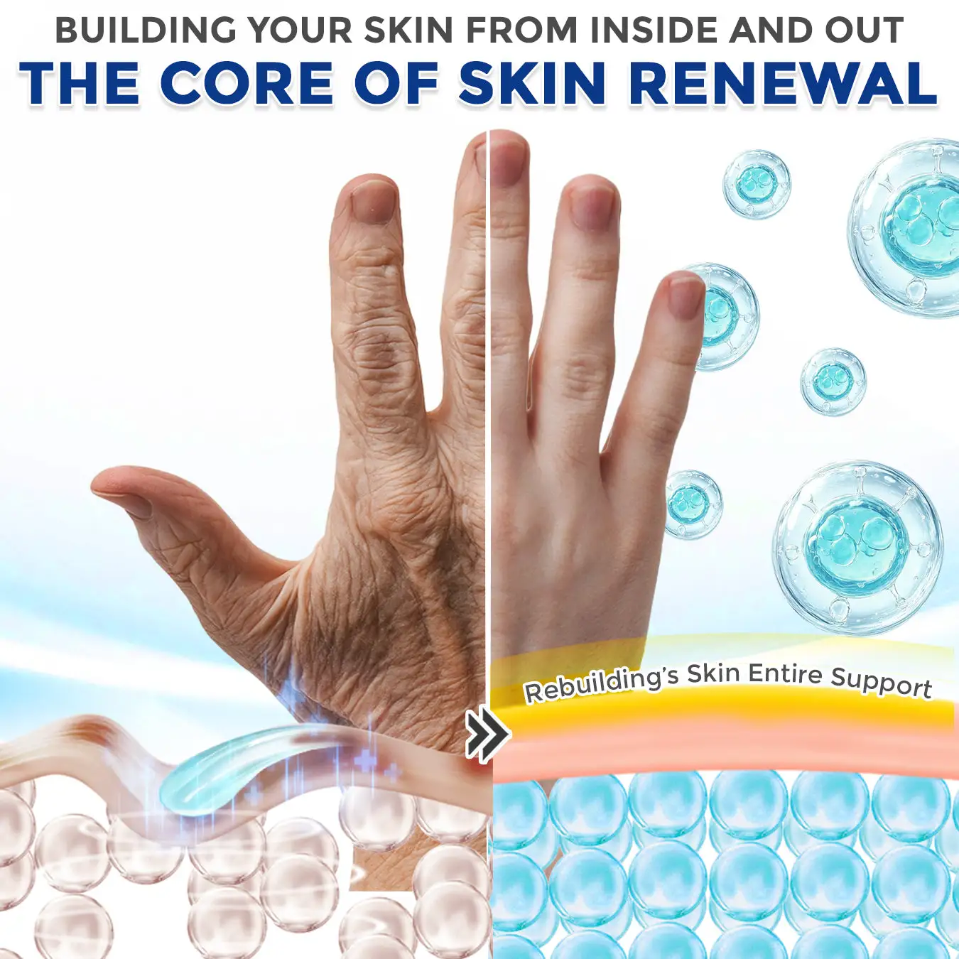 flysmus® Spermidine Autophagy Comprehensive Cream