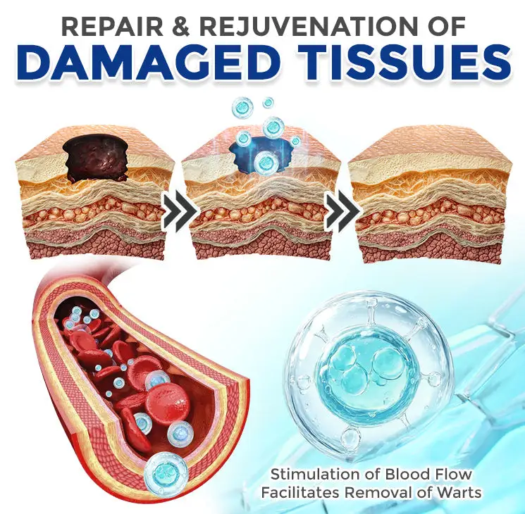 flysmus® Spermidine Autophagy Comprehensive Cream